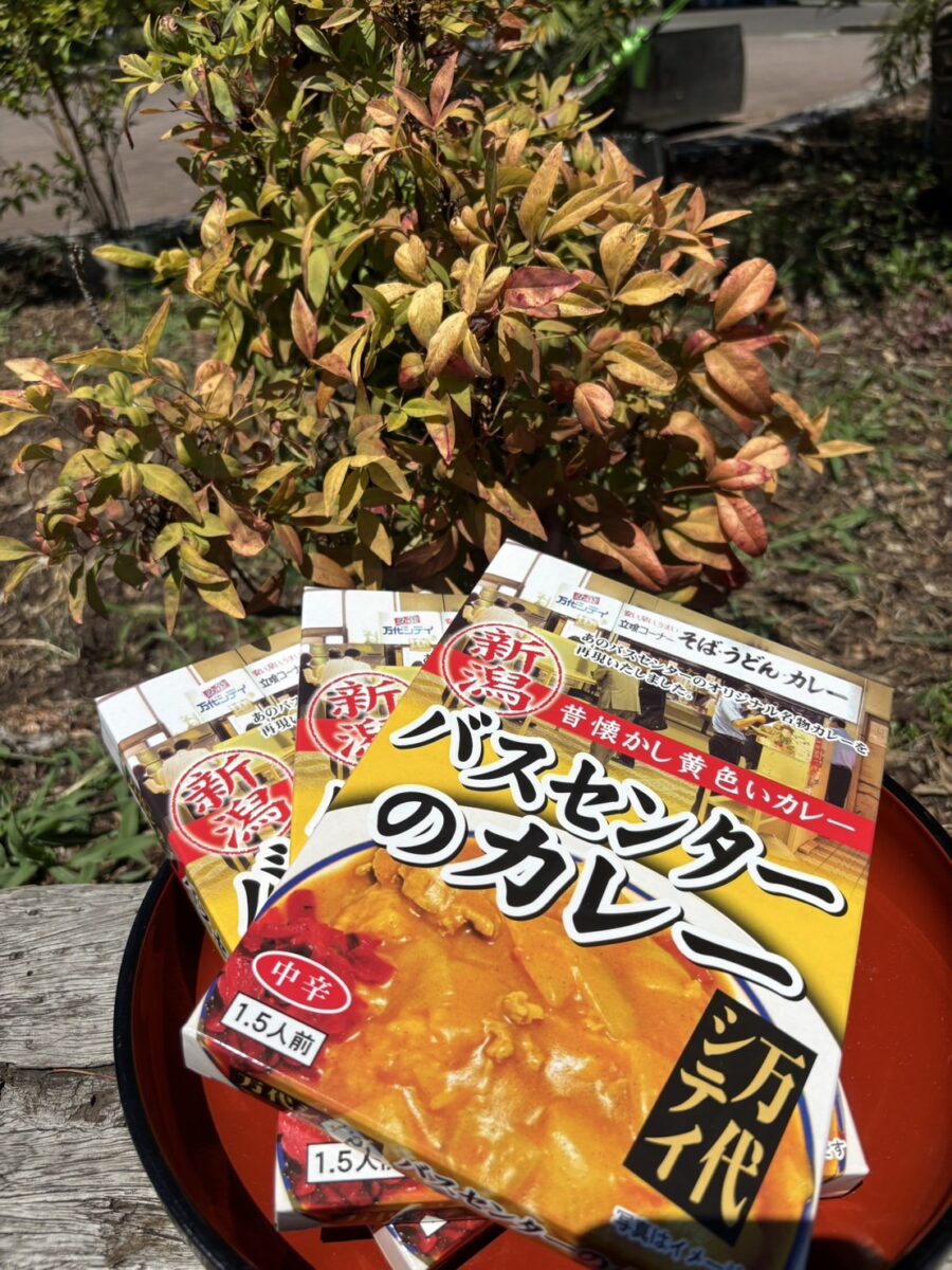 【にゃおご予約商品！】新潟 バスセンターのカレー　20個セット バスセンターのカレーせんべい 4パック入り/新潟交通商事/後払い