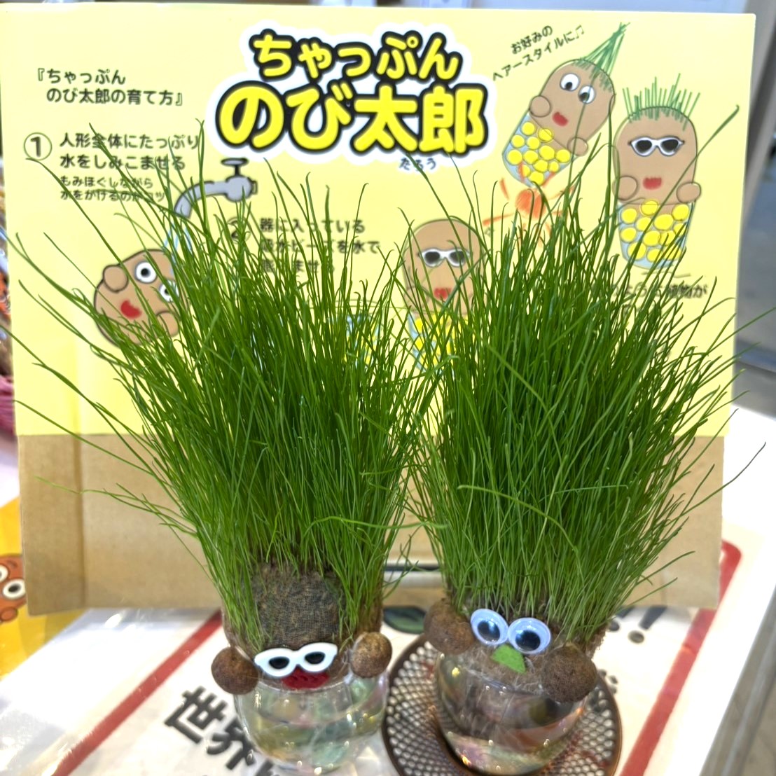 ちゃっぷん　のび太郎　10個 おすすめ商品】人気上昇中🍃「ちゃっぷん のび太郎」 | 庭園の郷保内