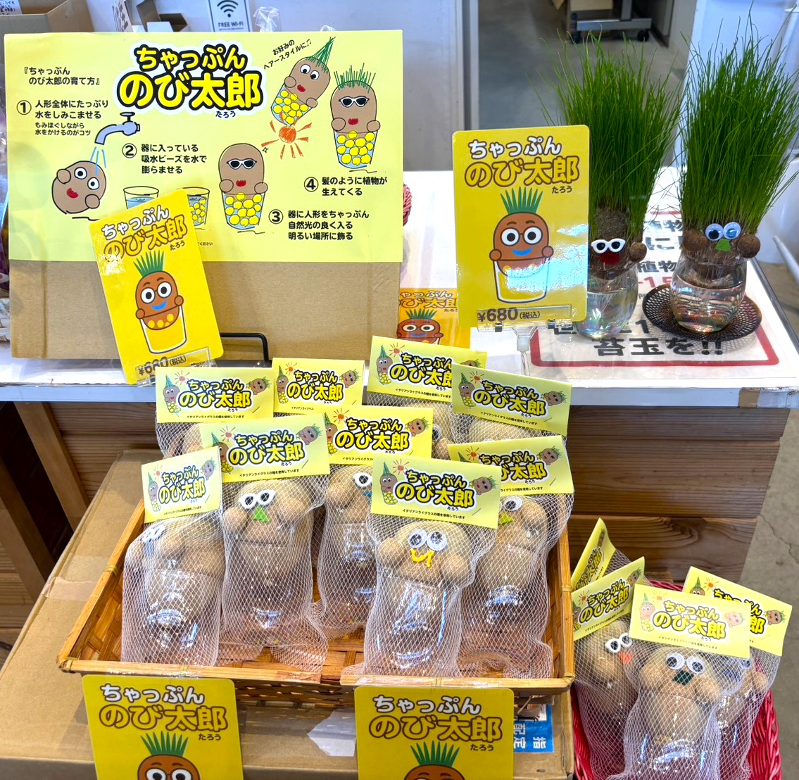 おすすめ商品】人気商品「ちゃっぷん のび太郎」入荷しました✨ | 庭園